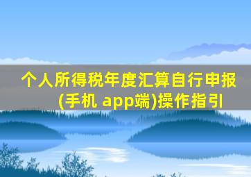 个人所得税年度汇算自行申报(手机 app端)操作指引